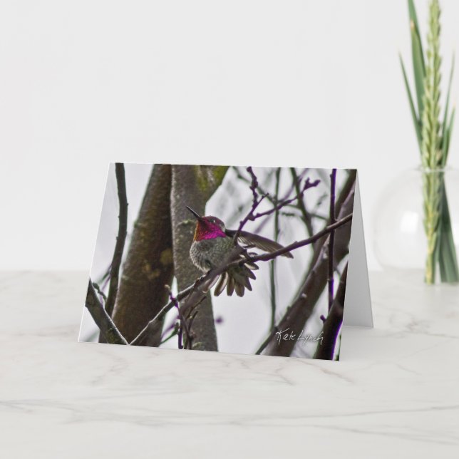 Crow Hummer Card Karte (Vorderseite)