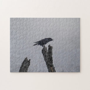 Crow Jigsaw Puzzle