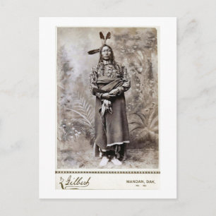 Crow King 1880 Postkarte