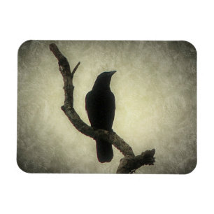 Crow Magnet