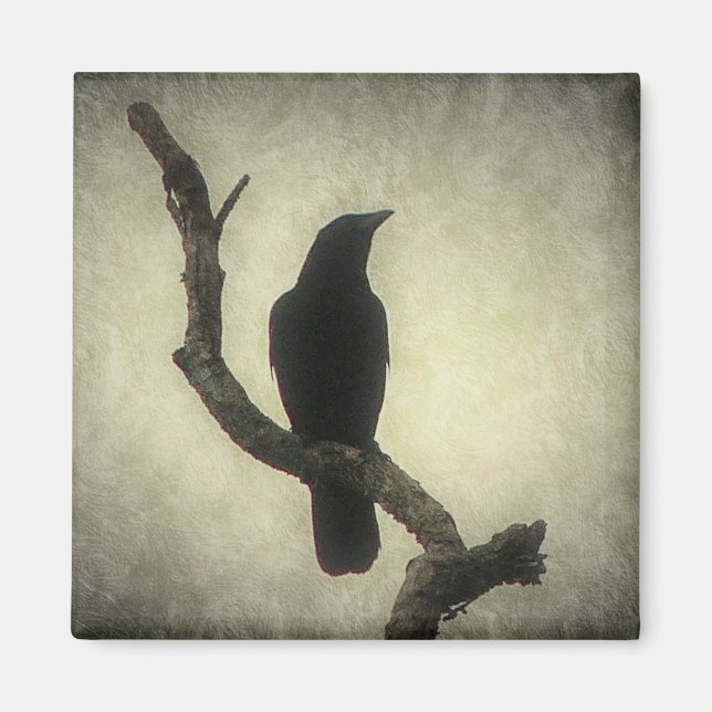 Crow Magnet (Vorne)