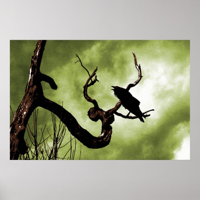 Crow Perching auf einem Poster für einen toten Bau (Vorne)