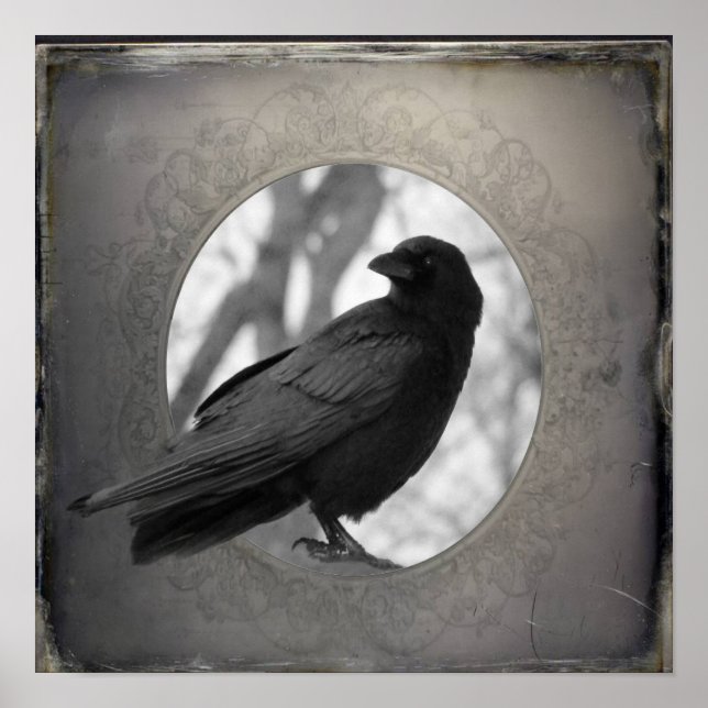 Crow-Portrait Poster (Vorne)
