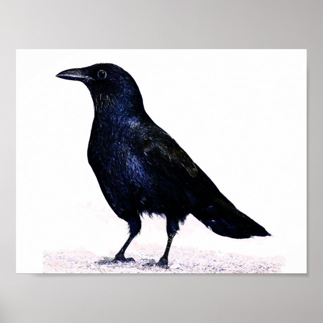 Crow Poster (Vorne)