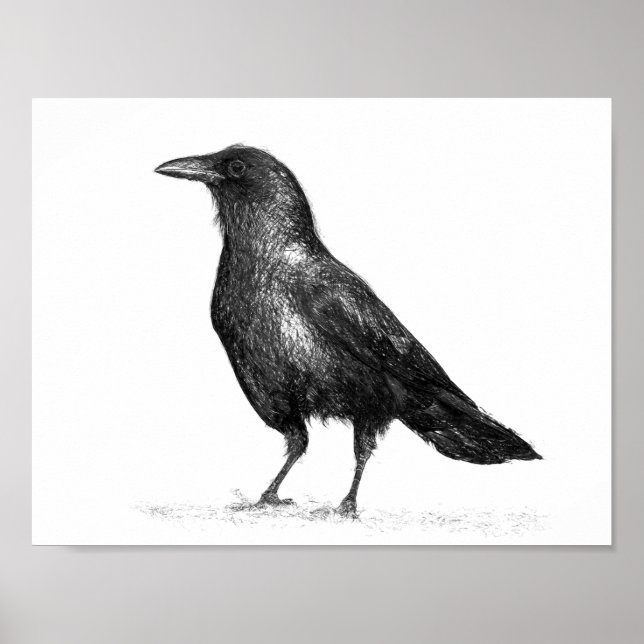 Crow Poster (Vorne)