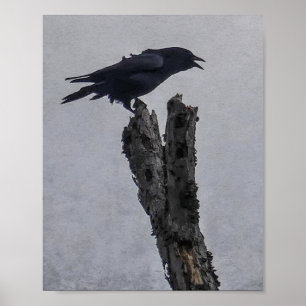 Crow Poster