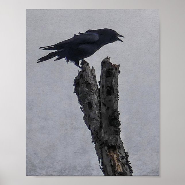 Crow Poster (Vorne)