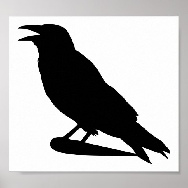 Crow Poster (Vorne)