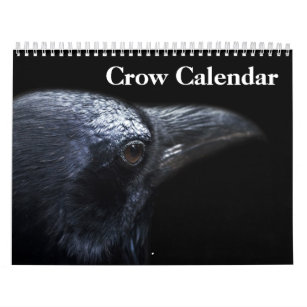 Crow Raven 2024 Kalender