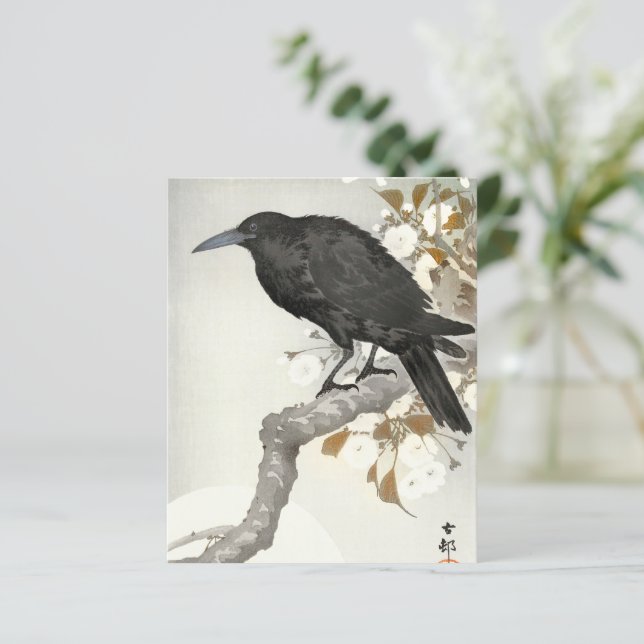 Crow Raven Koson Japanese Bird (Stehend Vorderseite)