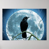 Crow Raven Moon Night Gothic Fantasy Atemberaubend