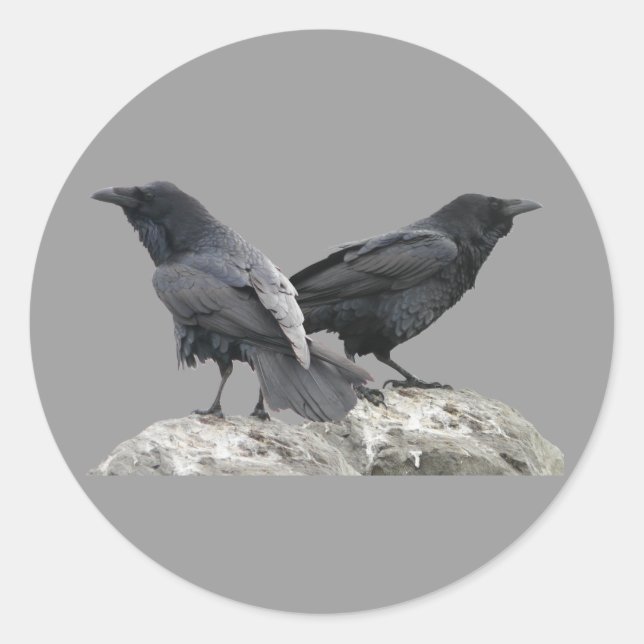 Crow Raven Runder Aufkleber (Vorderseite)