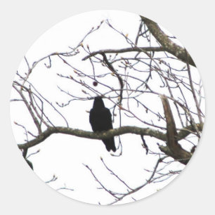 Crow Runder Aufkleber