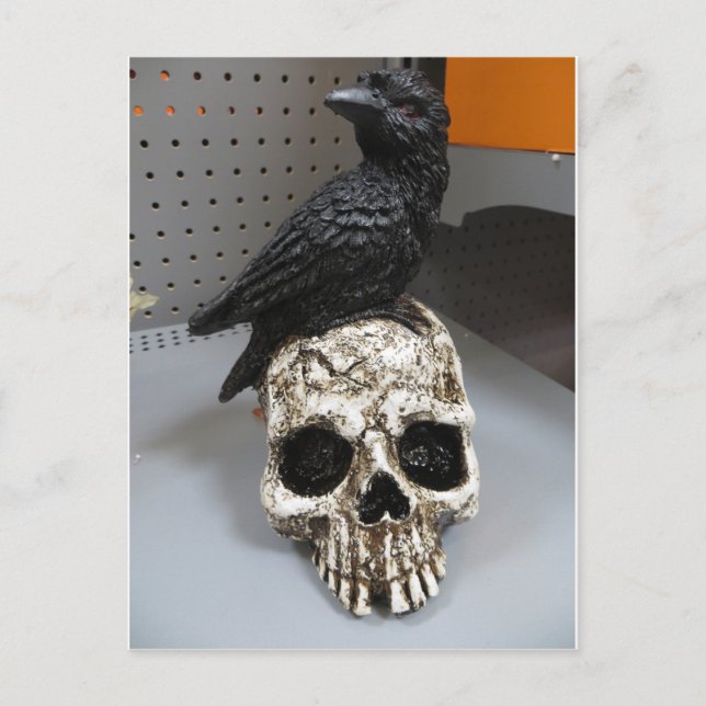 Crow & Skull Postkarte (Vorderseite)