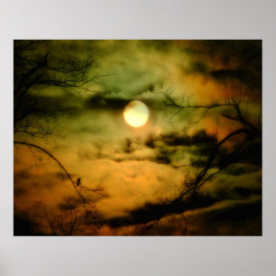 Crow und der Ominus Poster