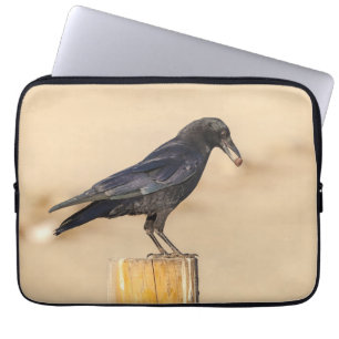 Crow und seine Nut Laptopschutzhülle