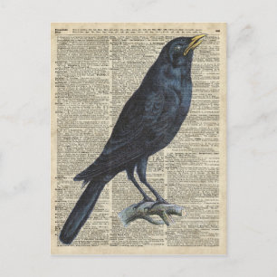 Crow Vintage Illustration At Old Encyclopedia Page Postkarte