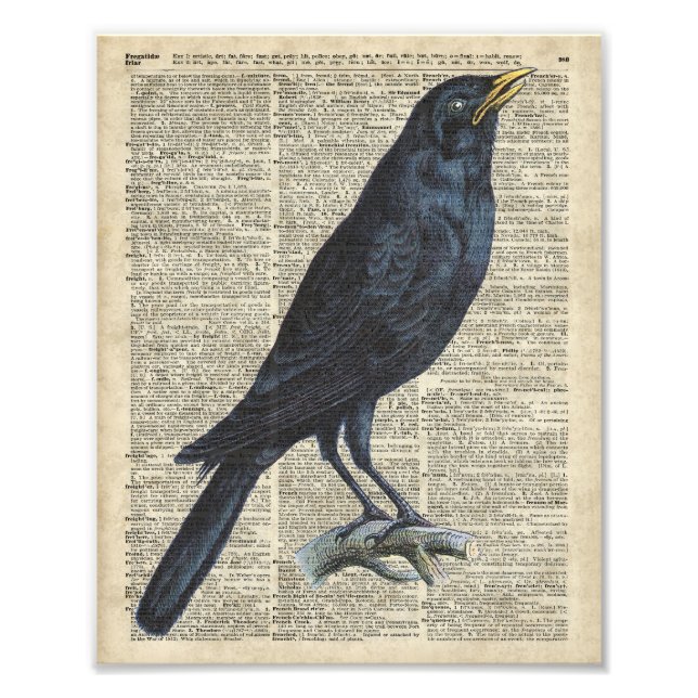Crow Vintage Illustration auf der alten Enzyklopäd Fotodruck (Vorne)