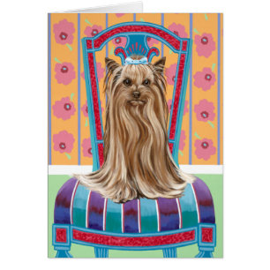 Crown Princess Yorkie