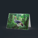 Crowned Crane Geburtstag Karte<br><div class="desc">Ein gekrönter Kranich im Dschungel schmückt die Grußkarte dieser Mutter am Vortag,  während der Text im Innern "Muttertag glücklich" lautet</div>