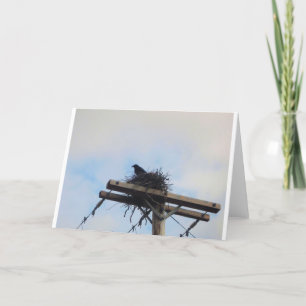 Crows Nest in Ak Karte