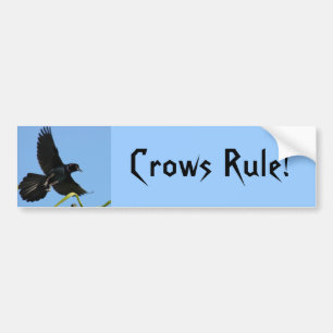 Crows Rule Autoaufkleber