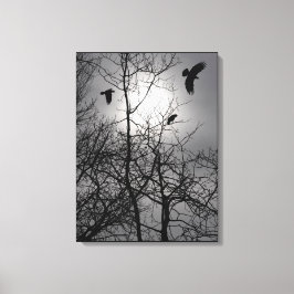 Crows Sonnenlicht Baumzweige Silhouette Landschaft Leinwanddruck