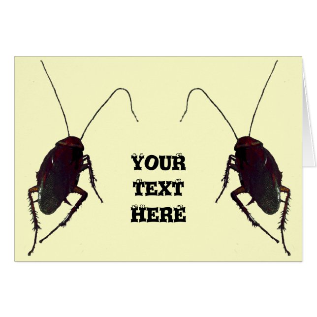 Crunchy Cockroach (Vorderseite (Horizontal))