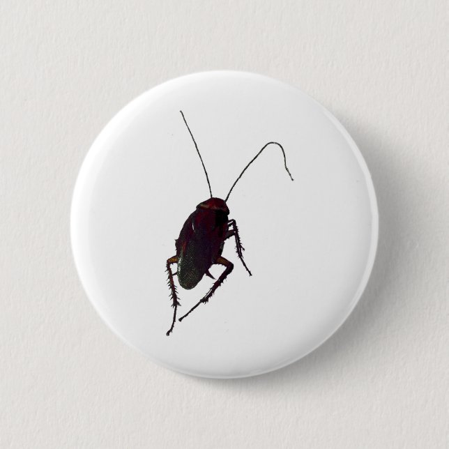 Crunchy Cockroach Button (Vorderseite)