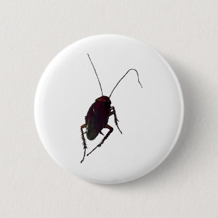 Crunchy Cockroach Button