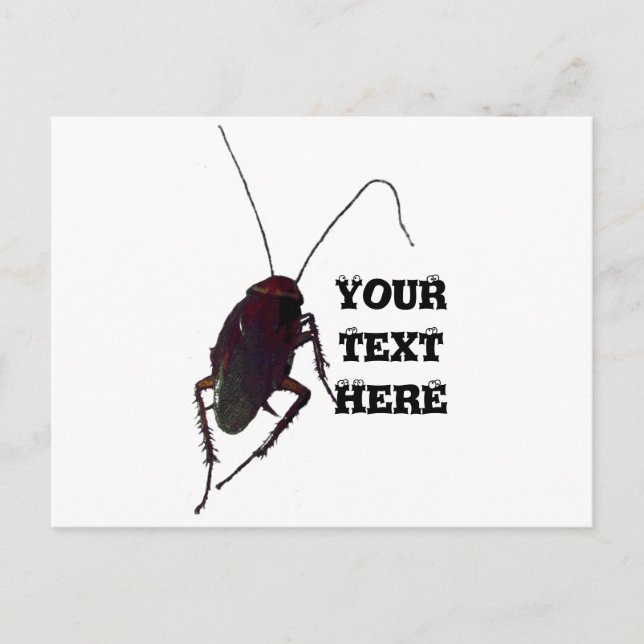 Crunchy Cockroach Postkarte (Vorderseite)