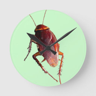 Crunchy Cockroach Runde Wanduhr