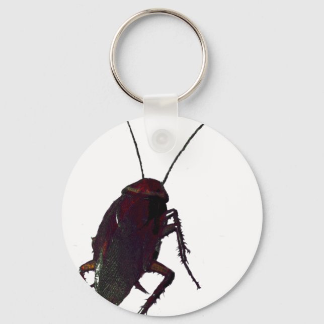 Crunchy Cockroach Schlüsselanhänger (Vorderseite)