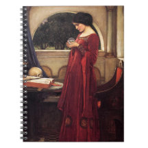 Crystal Ball von John William Waterhouse