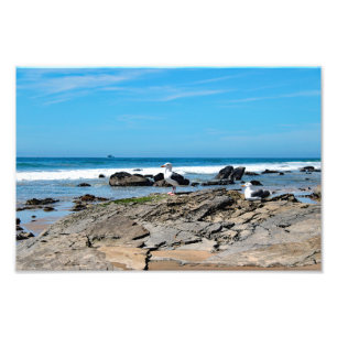 Crystal Cove Staat Park Fotodruck