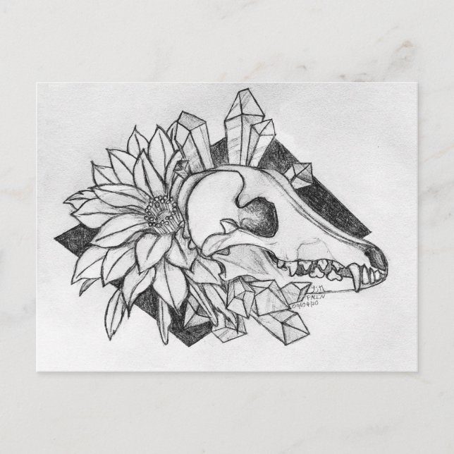 Crystal Coyote Postkarte (Vorderseite)