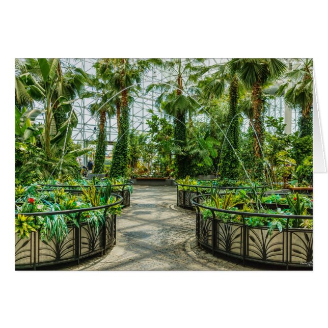 Crystal Gardens Leap Fossilienmuseum (Vorderseite (Horizontal))