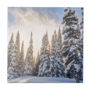 Crystal Mountain Ski Resort, nahe dem Berg Rainier Fliese