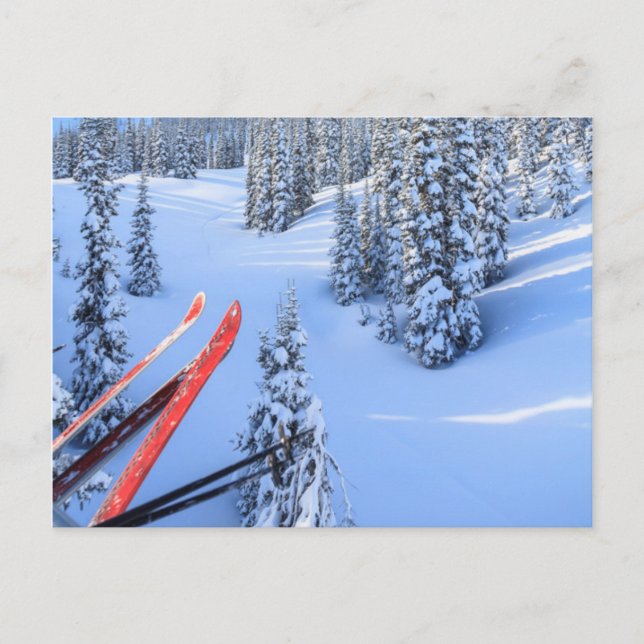 Crystal Mountain Ski Resort, nahe dem Berg Rainier Postkarte (Vorderseite)