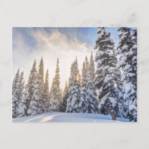 Crystal Mountain Ski Resort, near Mt. Rainier 1 Postkarte