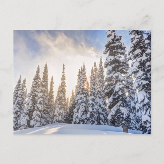 Crystal Mountain Ski Resort, near Mt. Rainier 1 Postkarte (Vorderseite)