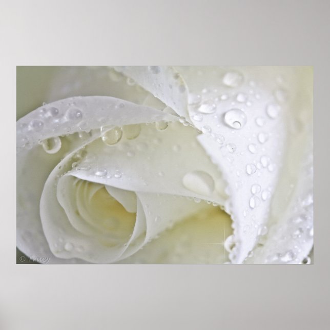 Crystal Rain Poster (Vorne)