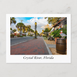 Crystal River Florida Postkarte