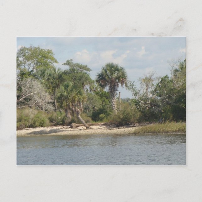 Crystal River Florida Postkarte (Vorderseite)