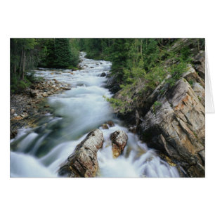 Crystal River, Gunnison National Forest,
