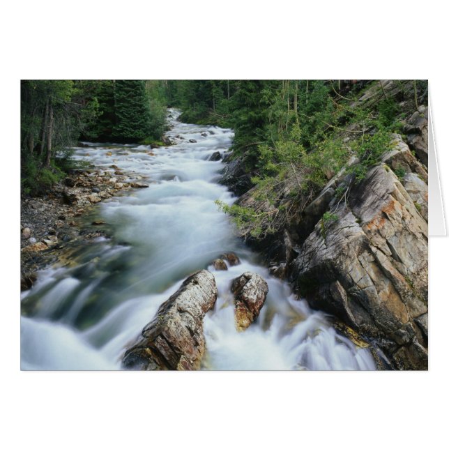 Crystal River, Gunnison National Forest, (Vorderseite (Horizontal))