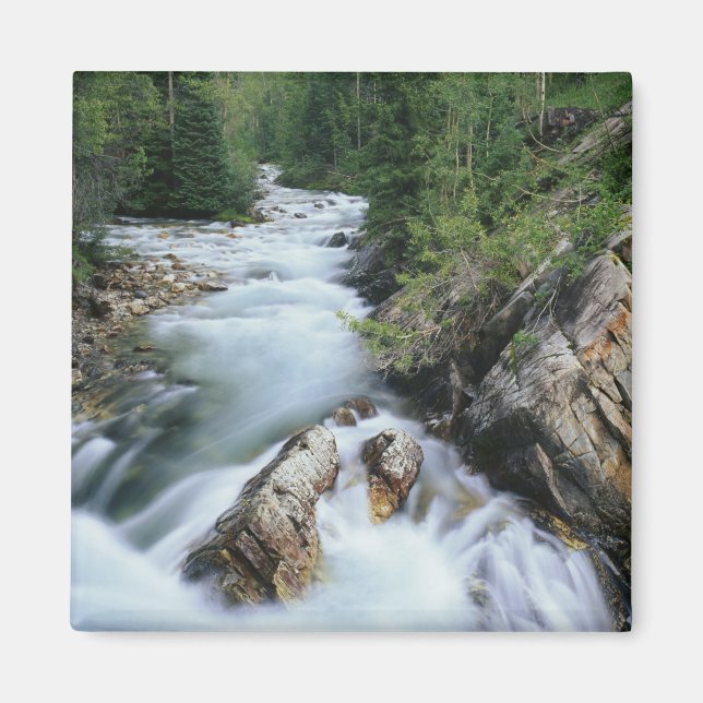 Crystal River, Gunnison National Forest, Magnet (Vorne)