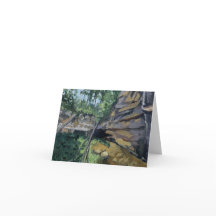 Crystal Springs SNA Bluff