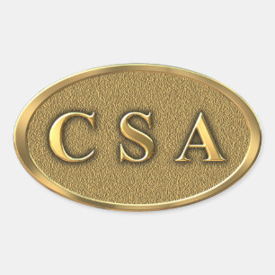 CSA Zivil War Sticker