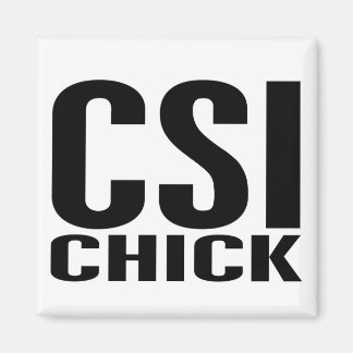 CSI Kapitel 1 Magnet